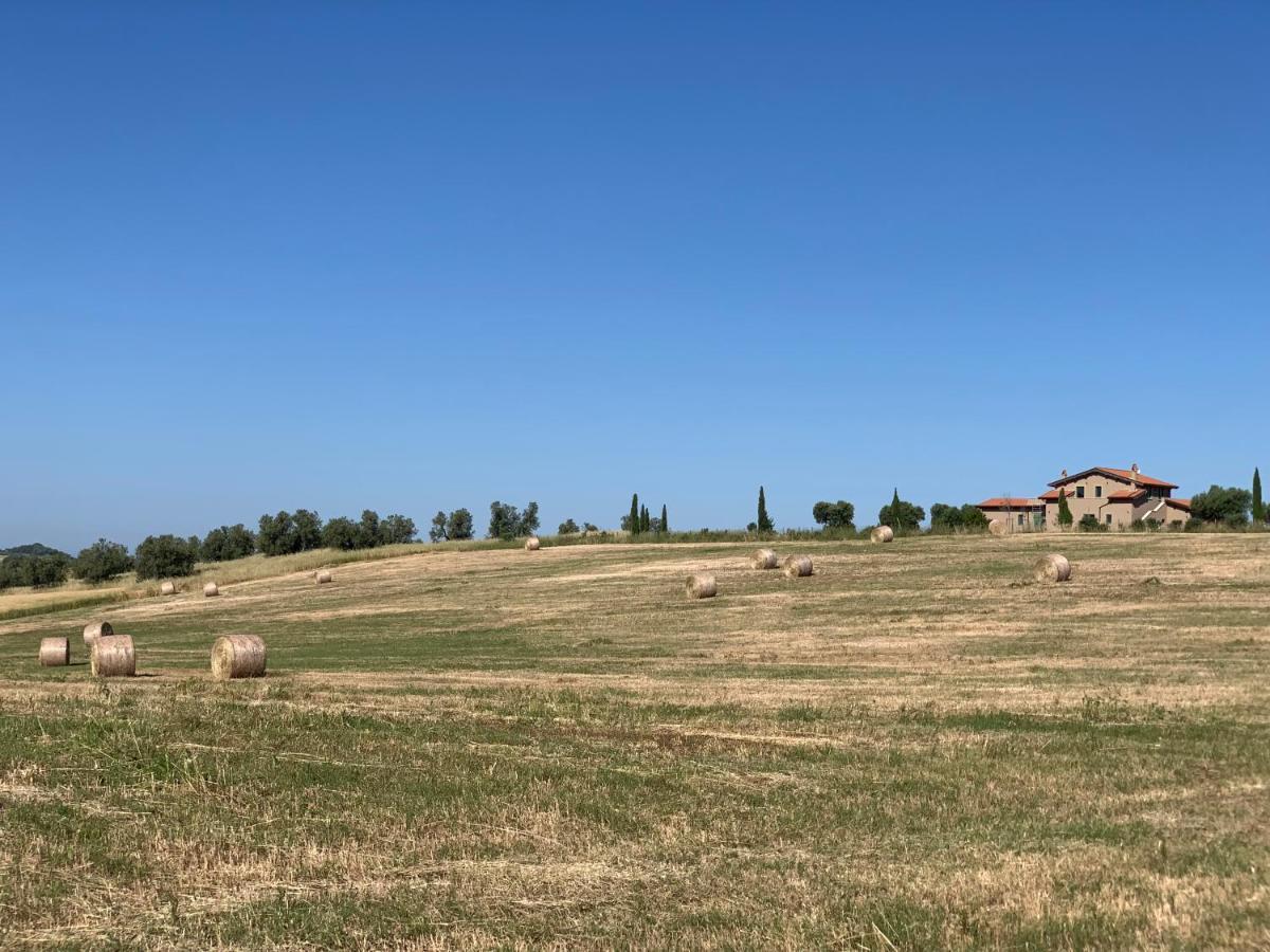 הוילה Musignano  Il Poggio Di Musignano מראה חיצוני תמונה